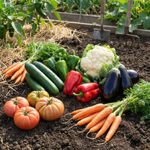 La Huerta en Casa